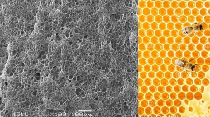 epp發泡聚丙烯的顯微結構，可以看到這是種連續閉孔結構，類似于蜂窩